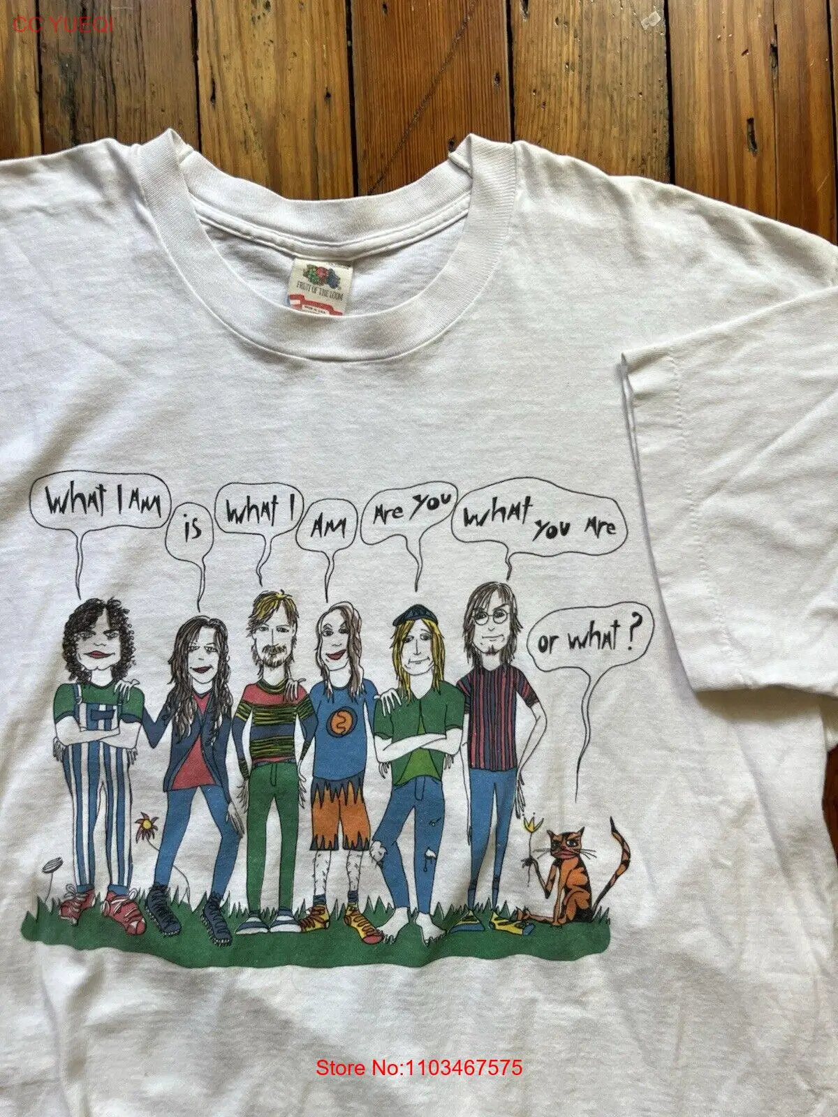 T-Shirt Vintage Edie Brickell et New Bohemians, Rare, Musique, Taille