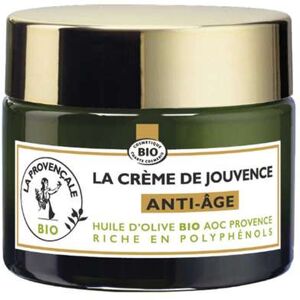 Résumé de notre avis sur la crème de Jouvence anti-âge