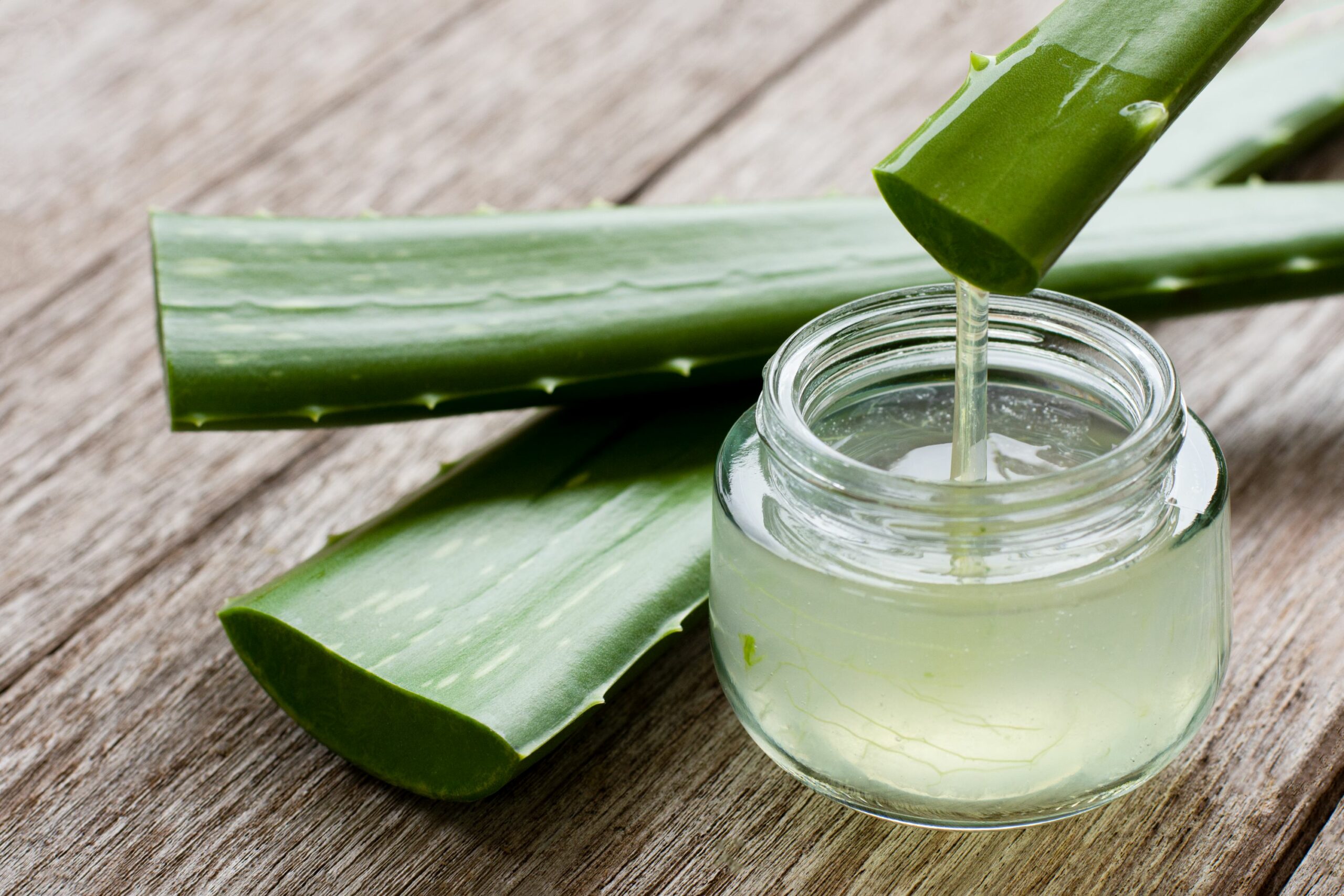 Gel d'Aloe Vera