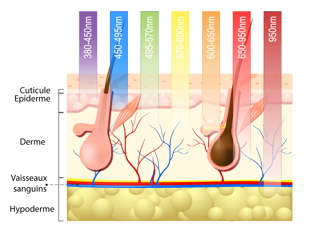 La pénétration dans la peau des différentes couleurs de lumière